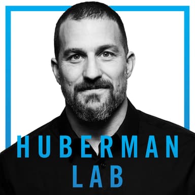 Huberman Lab cover